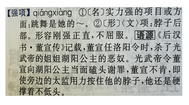 强项是什么意思，强项有哪些100条（带领孩子探索“强项”一词的含义）