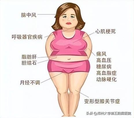什么是内脏脂肪 如何摆脱内脏脂肪，什么是内脏脂肪（实际上内脏脂肪可能已超标......）