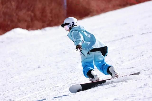 滑雪单板和双板哪个难，滑雪装备一套下来多少钱（单板滑雪好学还是双板滑雪好学）