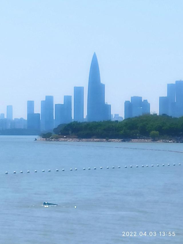 深圳湾公园在哪里，去深圳湾公园怎么预约（深圳湾公园）