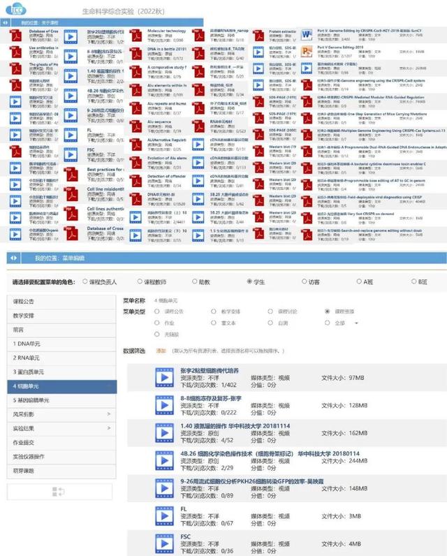 集体有怎样的力量，集体的力量有何作用（教师集体备课不能少不管线上或线下）