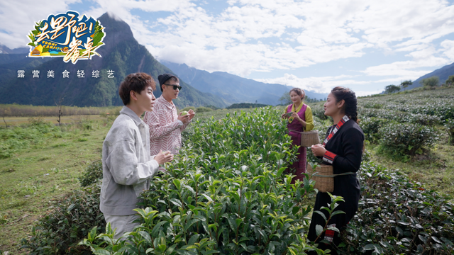 广东餐桌！，广东佛山家具餐桌（享受露营好“食”光，《去野吧）
