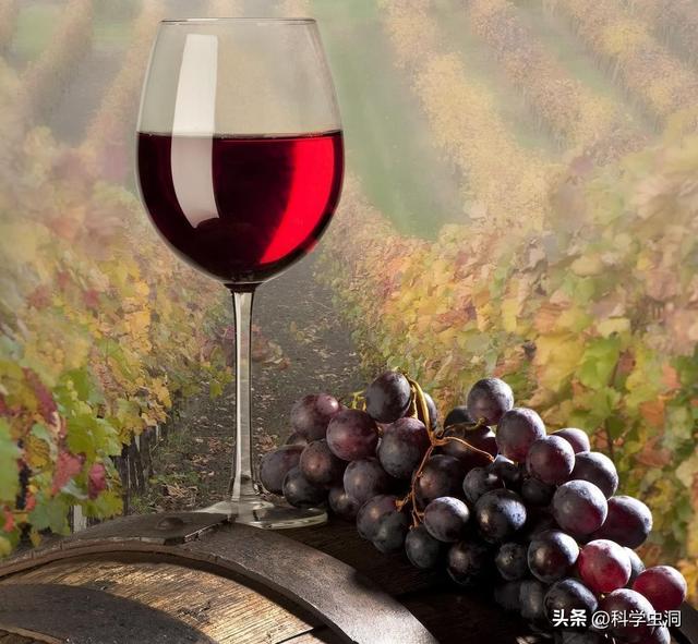 82年的拉菲多少钱一瓶，82年拉菲历年价格（卖出天价的“82年拉菲”）