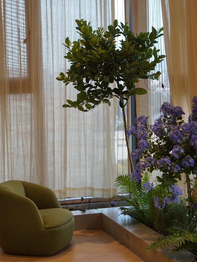 室内什么花最好养，在室内养什么花最好（7种“健康花”）