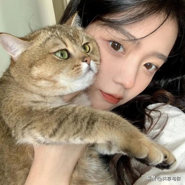 美丽背景图片  ❤️，美丽背景图片大全 唯美 梦幻（一组高级感满满的微信女头）