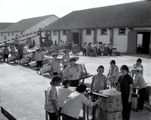 农村取消公粮是哪一年，农民什么时候取消交公粮（5060年代农村要交公粮）