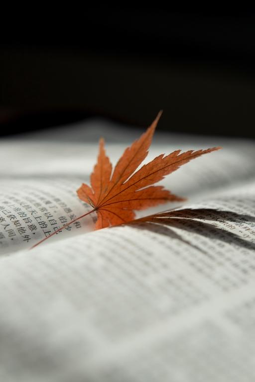 珍惜青春梦一场，青春梦一场是哪首歌词（《人世间》：寒冬散尽）