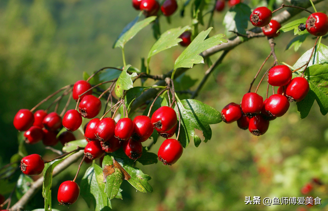 世界上最好吃的水果，世界上最好吃的水果十大排名是什么（这10种好吃的时令水果）