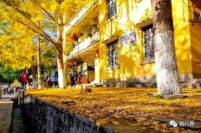 广东省内旅游攻略，广东10大最美自驾线路
