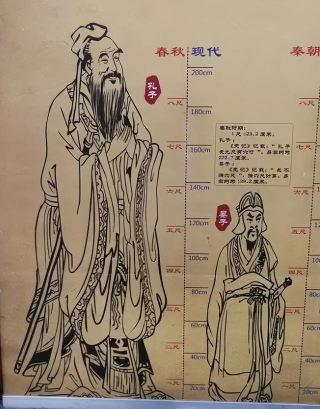 七尺简单介绍，七尺是多高（“七尺男儿”到底有多高）