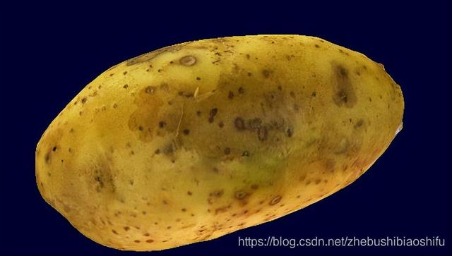 知末网官网3d模型效果图，知末3d模型网（3DSOM软件实现基于侧影轮廓方法的空间三维模型重建）