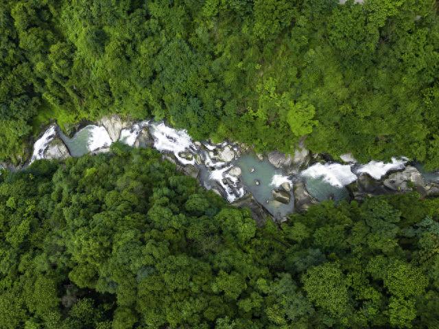 宜春旅游小众线路推荐，瀑布、古树群、峡谷漂流，嗨玩这个夏天