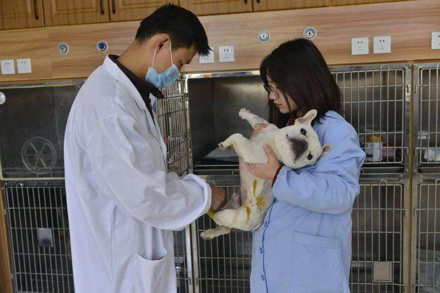 杭州工作好找吗，请问杭州工作好找吗（大学生们的就业面又宽了）