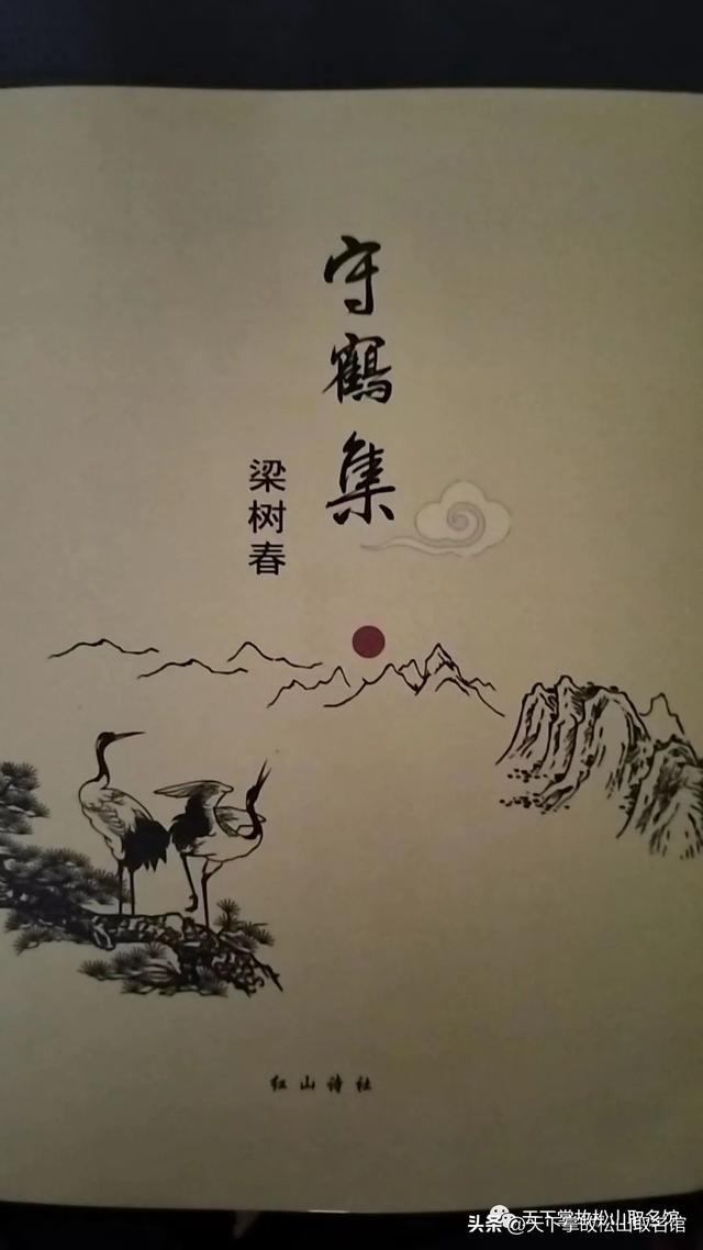 长青公园里的树