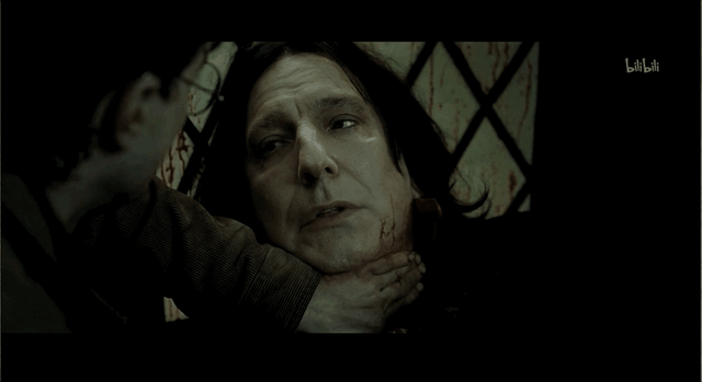 斯内普是好人还是坏人，《哈利波特》中斯内普是好的还是坏的（被嫌弃的斯内普的一生）