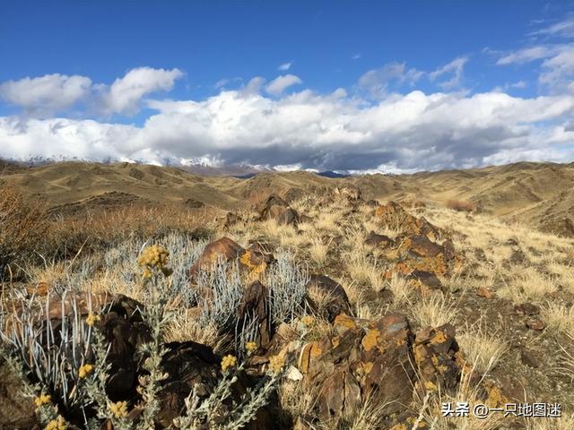 年轻的城是指现在的哪，这个年轻的城市啊（我国又诞生了一座新城市）