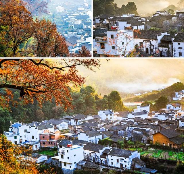 简笔画枫叶怎么画，简笔画枫叶怎么画好看（秋季特色艺术课《秋天的小村庄》）