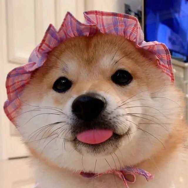 斗图，微信头像，斗图（抖音热门头像）