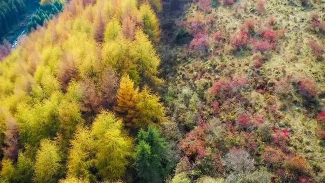 国庆去哪旅游好，国庆节去哪里旅游合适（10个宝藏景点get雅安最美秋色）