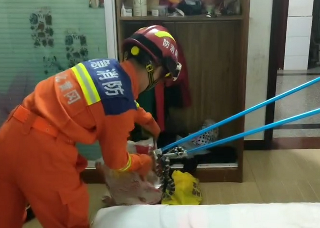 床头惊现银环蛇，剧毒多头蛇（湖北一男子被吓醒）