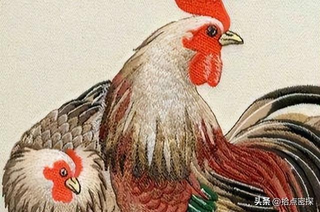 动物分为哪六大类，1000个动物名字（排列到底是按照什么顺序排列的）