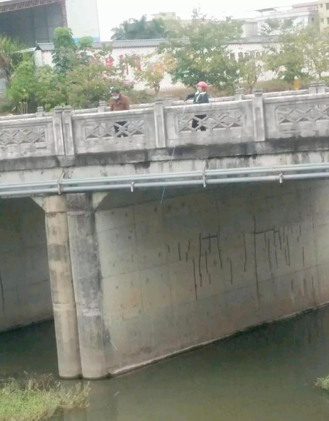 深圳哪里可以钓鱼，深圳哪里可以钓鱼野点更好高分哦（深圳这3个地方免费钓鱼）