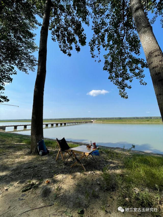 及锋而试指什么动物，锋正确答案生肖是什么动物（<第十八回>养精蓄锐以待及锋而试）