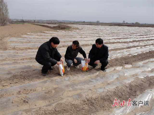 为了大地的丰收，为了大地的丰收是哪首歌（为了大地的丰收是哪首歌的歌词）