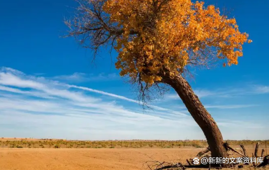 说不出的心酸和无奈的说说，无奈,无助,心酸的说说（努力却没有结果的解压文案）