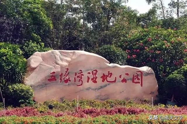 厦门自驾游攻略，厦门自驾游一日游最佳路线（东海行<厦门.五缘湾.九>）