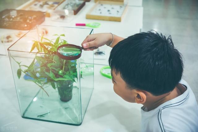 心得体会最后结尾，心得体会最后结尾感谢老师（十大类作文优美开头和结尾）