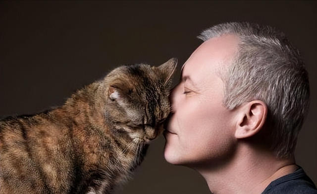 猫咪多大算成猫，猫多大算成年（猫咪一生发生的5个变化）