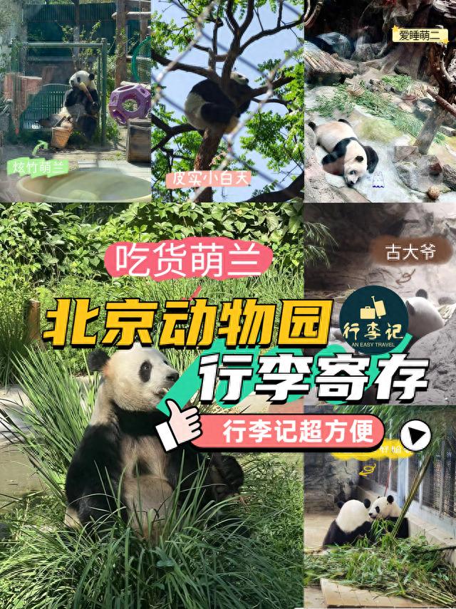 北京动物园行李寄存，真的方便，10元可以寄存一整天