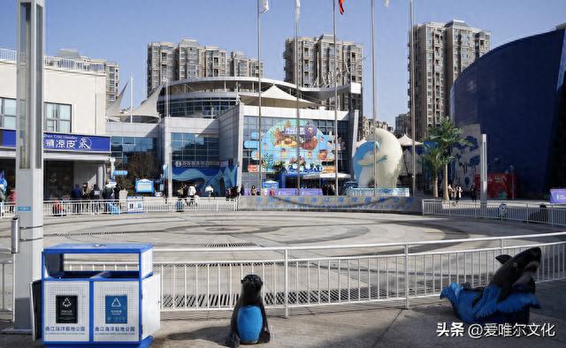 西安曲江海洋极地公园游玩见闻分享