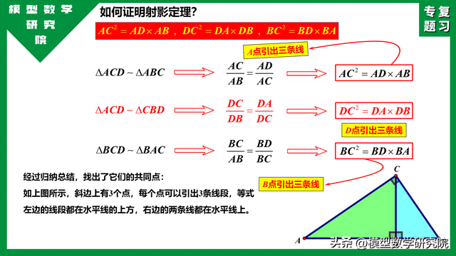 什么是数学上的射影定理，中考专题：射影定理小常识