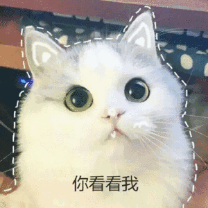 面膜贴怎么挑选，面膜怎么选？超全攻略