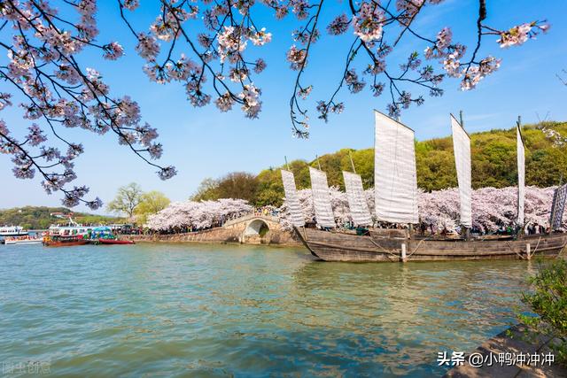 李连红和袖珍人一家，农村“袖珍人”张荣的“绝地”反击