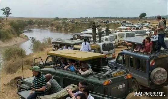 东非动物大迁徙，东非动物大迁徙的路线图（“生命的长征”东非野生动物大迁徙）