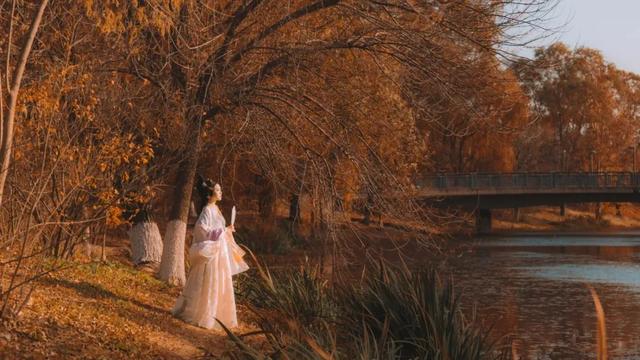 关于温暖的名言，关于理解社会温暖的名言（十首温暖诗词：总有一个人）