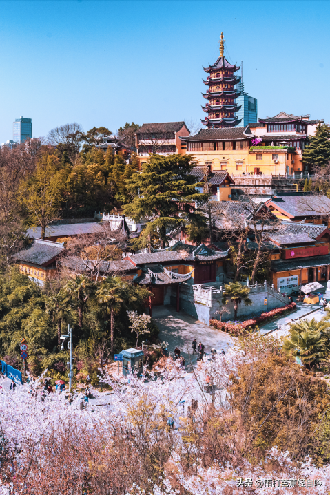 鸡鸣寺要门票吗，鸡鸣寺要预约吗（2023年南京吃住行玩超全攻略）