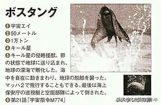 手q是什么意思，手Q是什么意思（奥特Q怪兽图鉴）