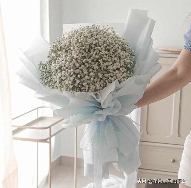 Gypsophila 满天星网名，Gypsophila 满天星（千万星、百万星、伊洛斯有何区别）