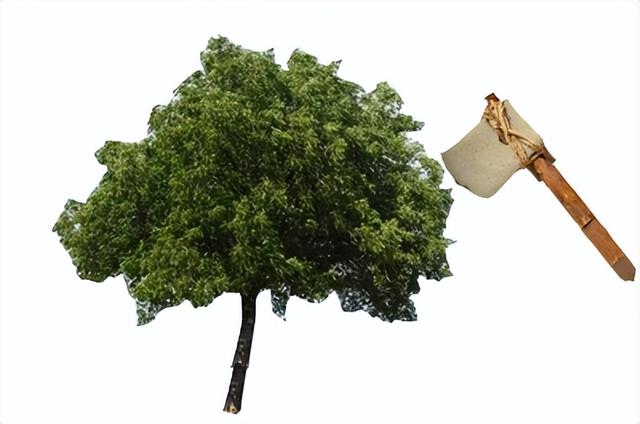 五岳独尊是什么山，五岳独尊是什么山在哪里（它与五行文化的关系你知道吗）