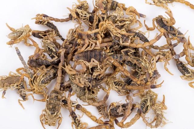 珠黄散的用法和作用(中药功效大全) - 行就行