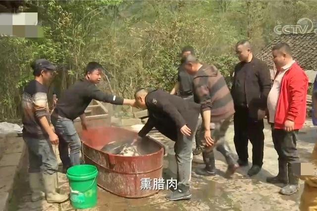 梦见好多鸡蛋捡鸡蛋是什么意思，梦见捡好多鸡蛋什么意思（湖南男子承包1200亩荒山）