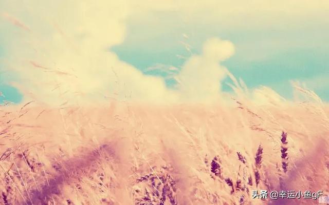 det是什么词性，this是什么词性（你清楚all,every,each之间的区别吗）