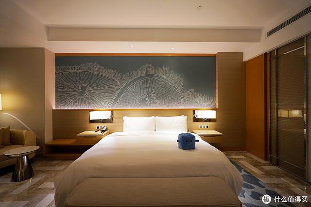 亚特兰蒂斯在哪里，亚特兰蒂斯在哪（“人傻钱多”的三亚亚特兰蒂斯）