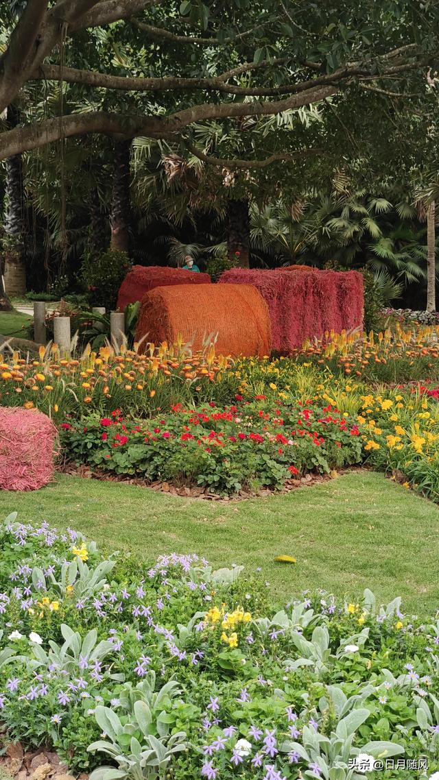 深圳市仙湖植物园，深圳仙湖植物园适合夏天逛吗（深圳仙湖植物园现场实拍图来了）