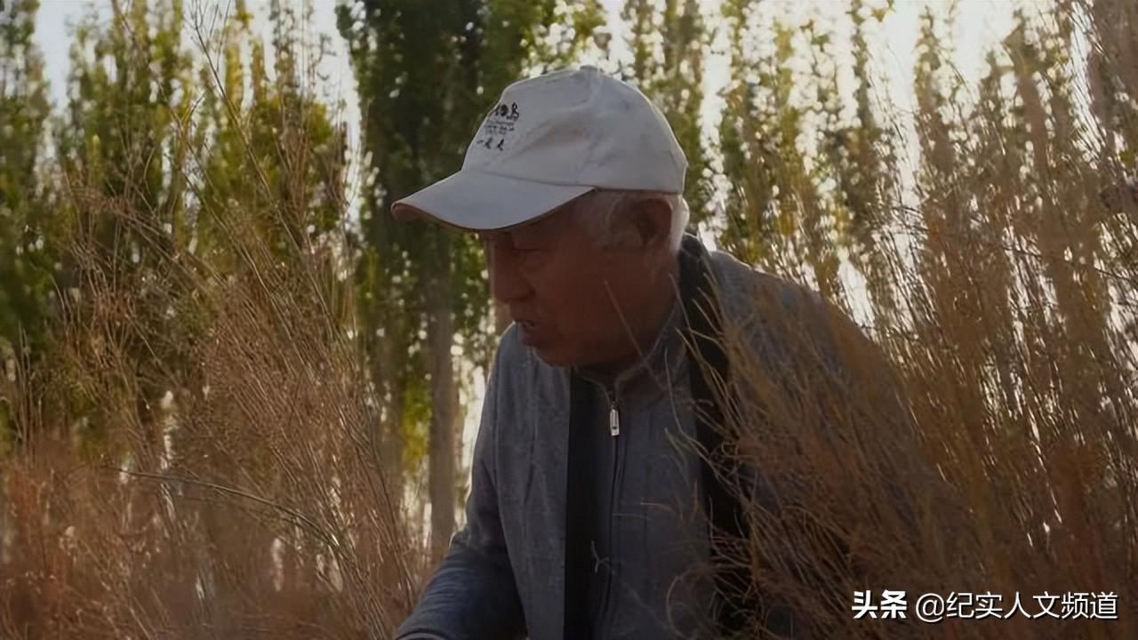 我到新疆去(我到新疆去挑战文本内容)