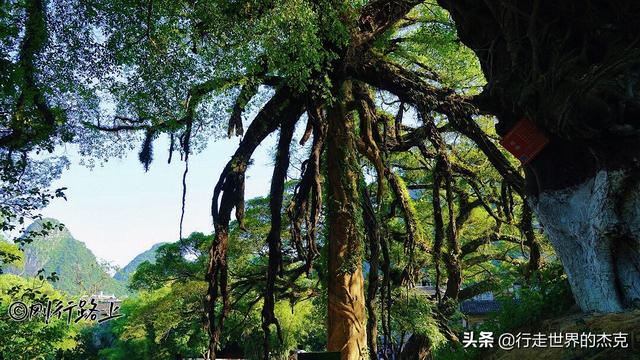 黄姚古镇旅游攻略，黄姚古镇旅游行程路线住宿攻略（享一慵懒时光——黄姚古镇）